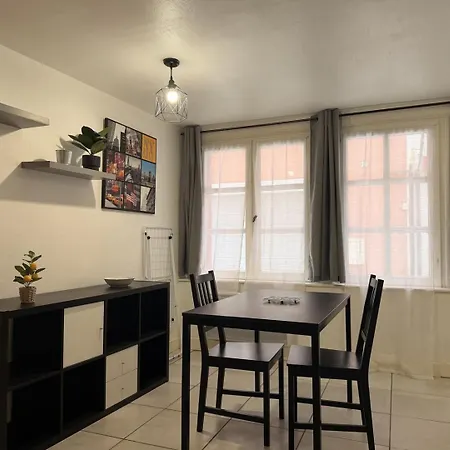 Le Nid Villeneuve -ground Floor In The Town Center Le Puy-en-Velay